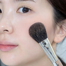 PICCASSO 108 ブラッシャー