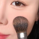 PICCASSO 108 ブラッシャー