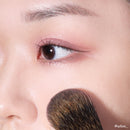 PICCASSO 108 ブラッシャー