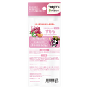 TOOSTY X チャミスル マウスウォッシュ すもも