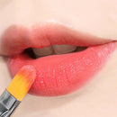 PICCASSO 501 リップ