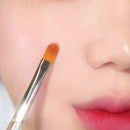 PICCASSO 501 リップ