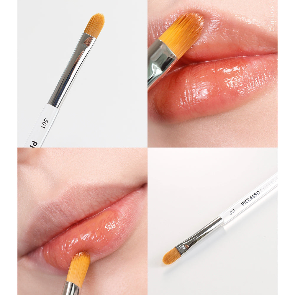PICCASSO 501 リップ
